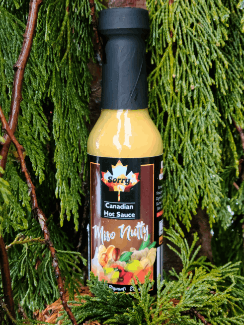 Miso Nutty Sorry Sauce